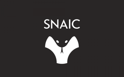 SNAIC: La plateforme de gestion télécom signée Networth